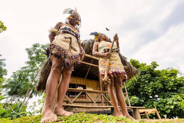 A Festa da Moça Nova: O Ritual de Iniciação dos Ticuna - TUCUM