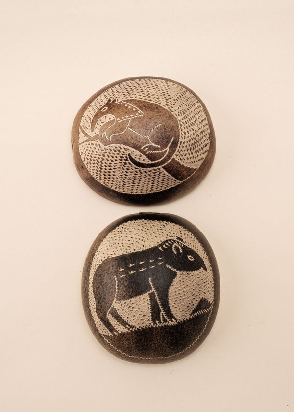 Conjunto de Cuias | Ticuna