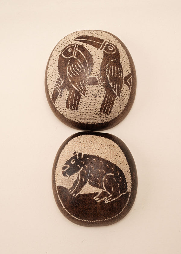 Conjunto de Cuias | Ticuna