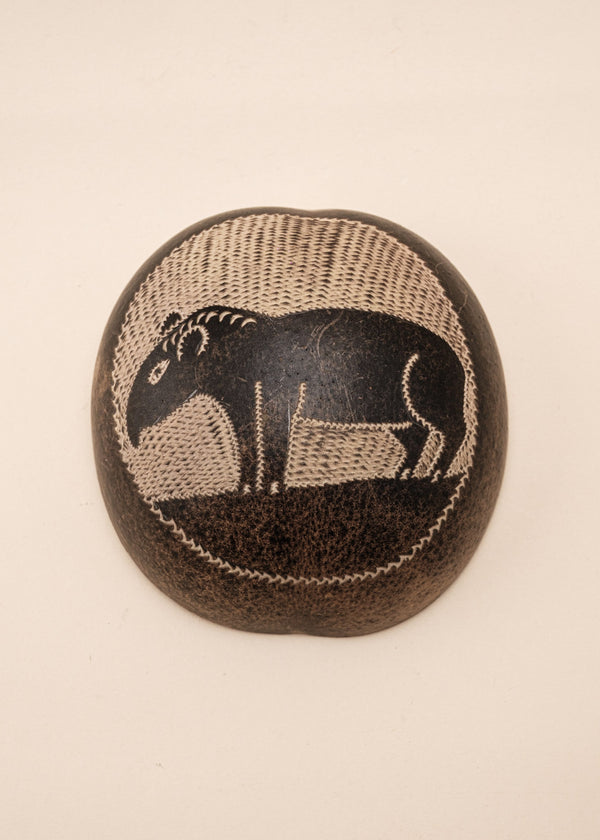 Conjunto de Cuias | Ticuna