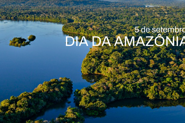 No Dia da Amazônia, celebrar não basta: É hora de proteger