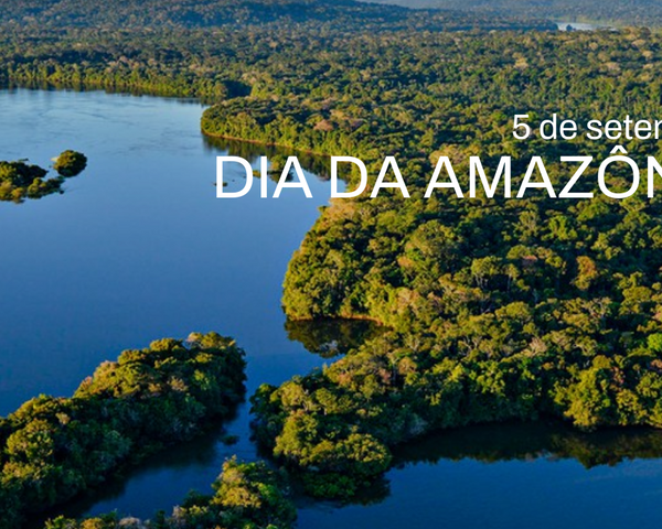 No Dia da Amazônia, celebrar não basta: É hora de proteger