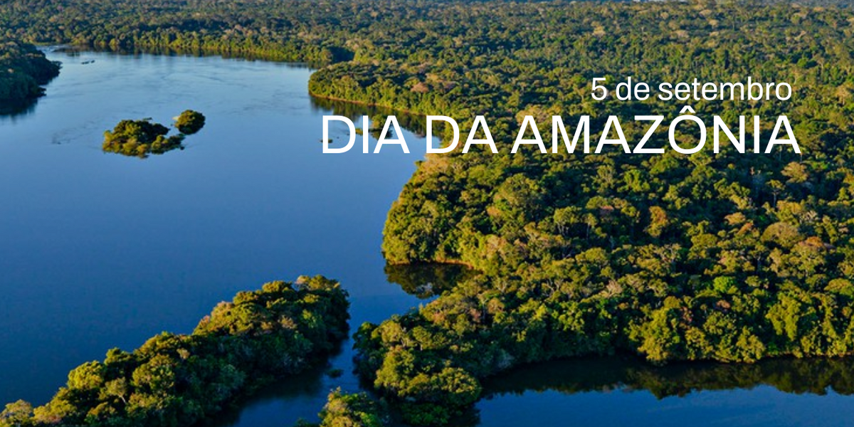 No Dia da Amazônia, celebrar não basta: É hora de proteger