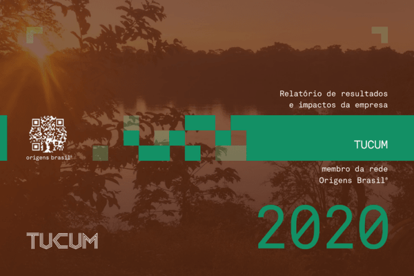 Transparência, relações justas e estratégias para fortalecer a economia da floresta em pé - TUCUM