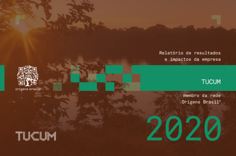 Transparência, relações justas e estratégias para fortalecer a economia da floresta em pé - TUCUM