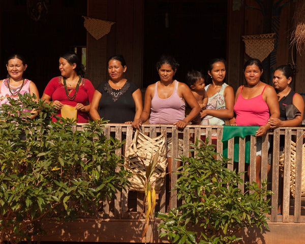 Expedição Tucum - Jamaraquá: o encontro do Tapajós com a Floresta Amazônica - TUCUM