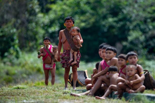 Emergência Yanomami - TUCUM