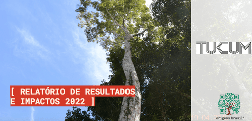 Fortalecendo a economia da floresta através da valorização das culturas originárias - TUCUM