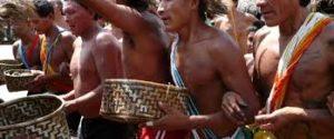 Galeria Amazônica e seu acervo das artes tradicionais - TUCUM