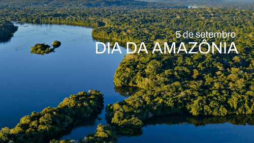 No Dia da Amazônia, celebrar não basta: É hora de proteger
