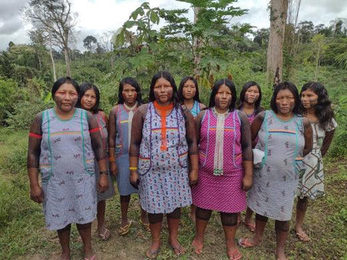 Os novos caminhos das mulheres Mẽbengôkre-Xikrin - TUCUM