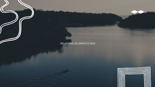 Relatório de Impacto Tucum 2024