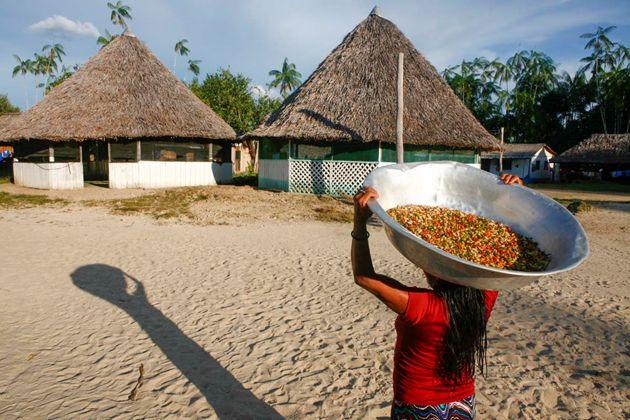 Sistema Agrícola Tradicional do Rio Negro - TUCUM