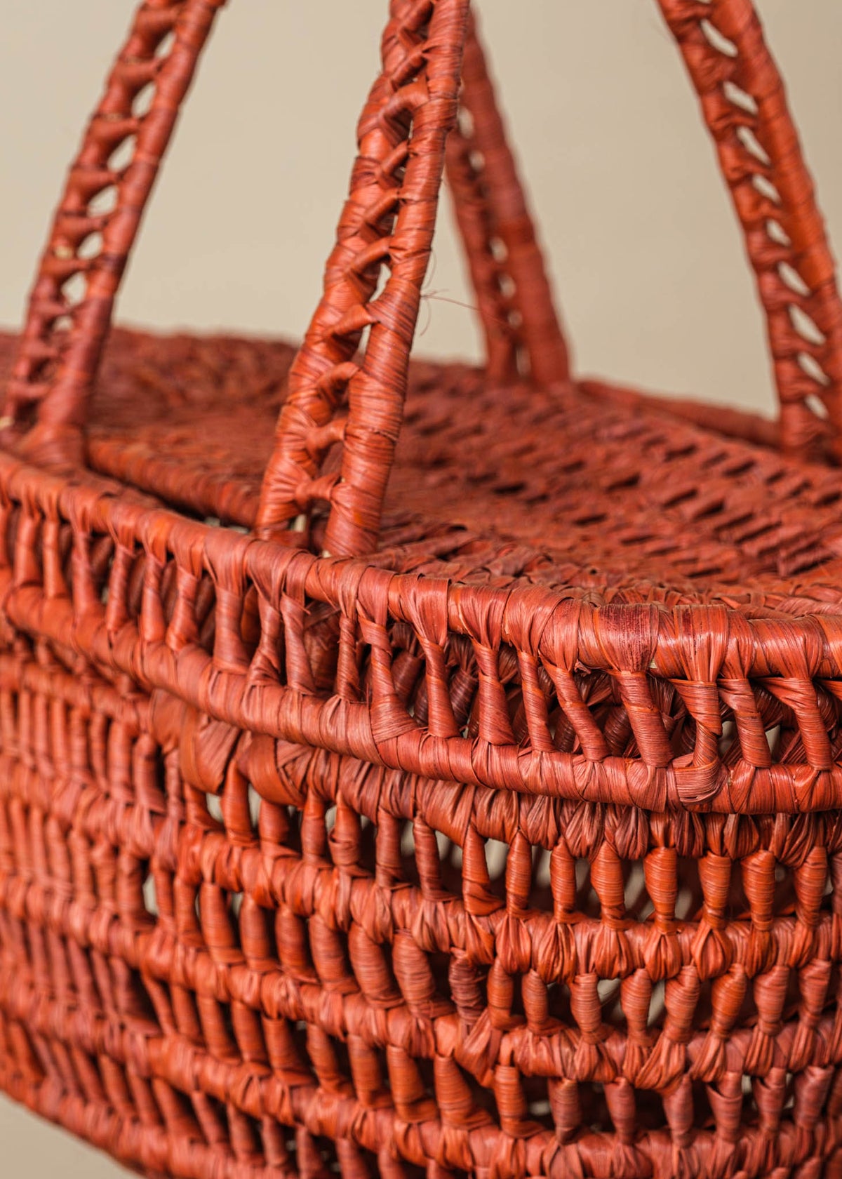 Bolsa indígena de Fibras | Tramas e Cores