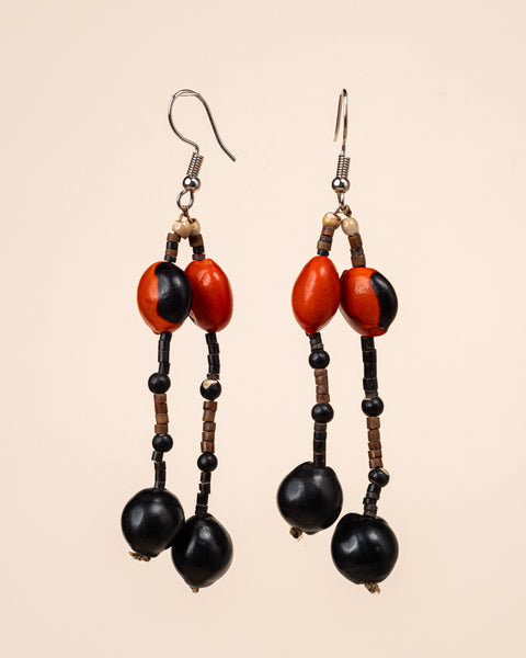 Brincos de Sementes | Surui