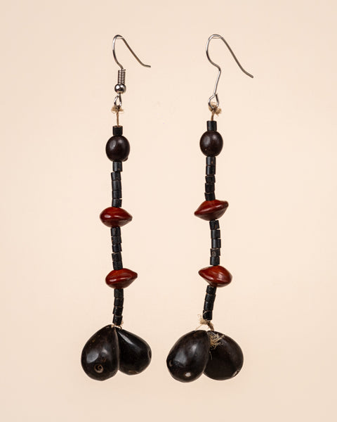 Brincos de Sementes | Surui