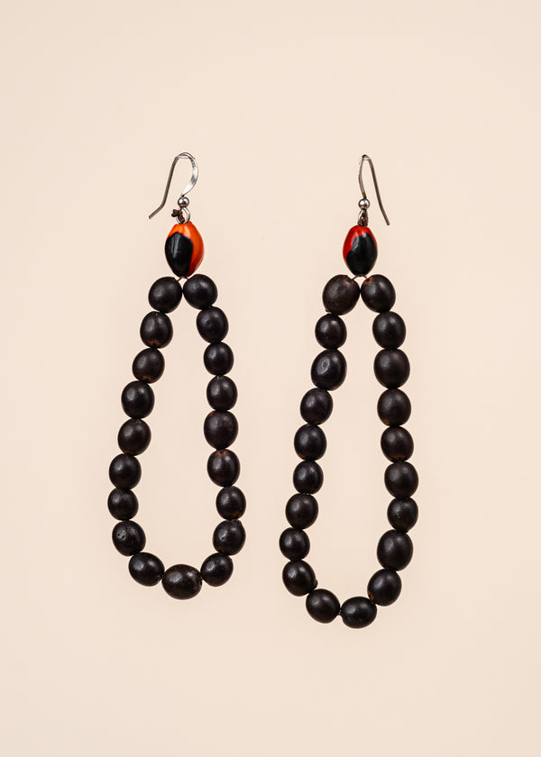 Brincos de Sementes | Surui