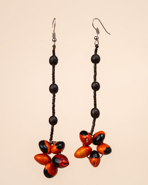 Brincos de Sementes | Surui