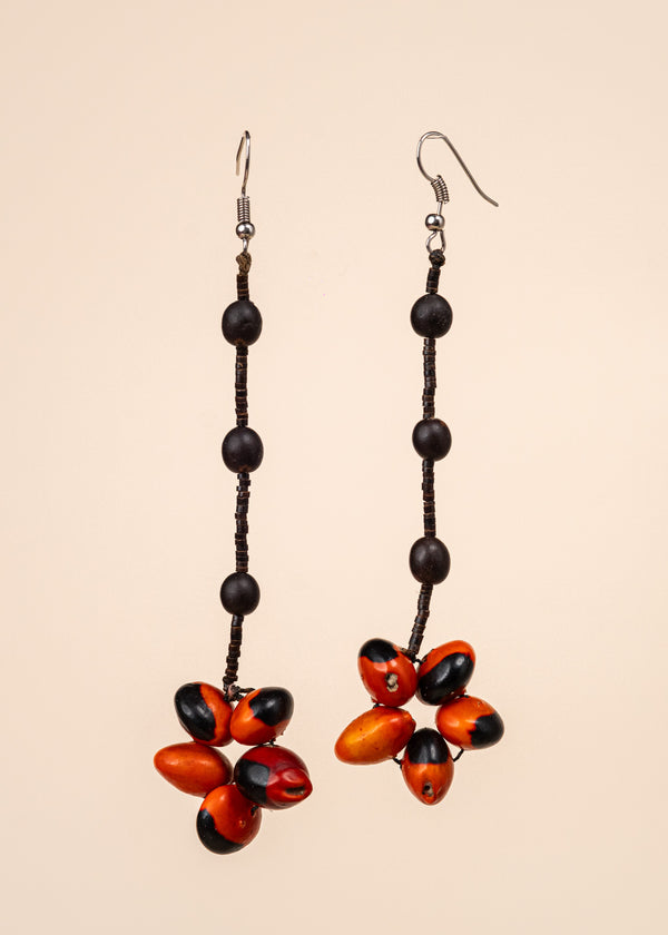 Brincos de Sementes | Surui