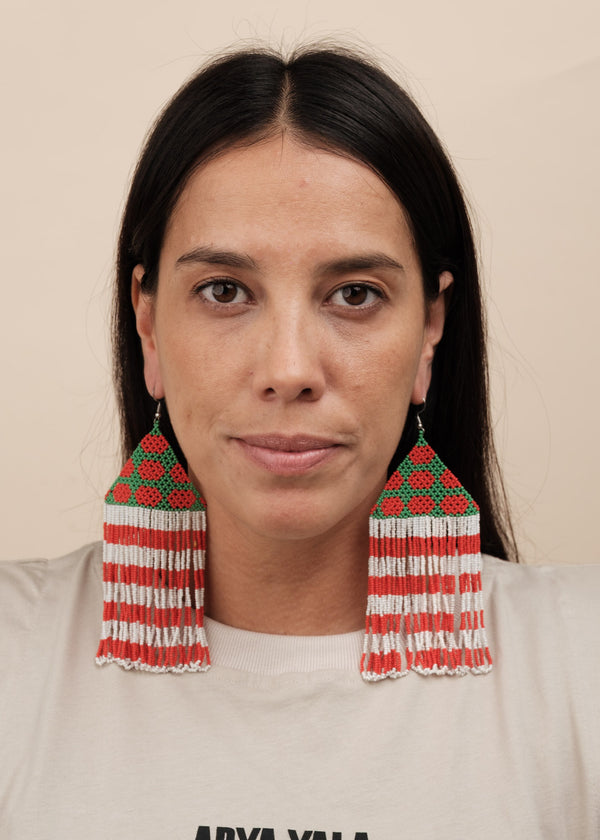 Brincos Kayapó - Joia indígena | Tucum Brasil