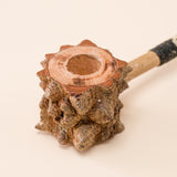 Cachimbo de Jurema | Fulni-Ô - TUCUM