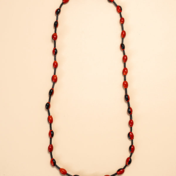 Colar de Tucum e Sementes | Surui