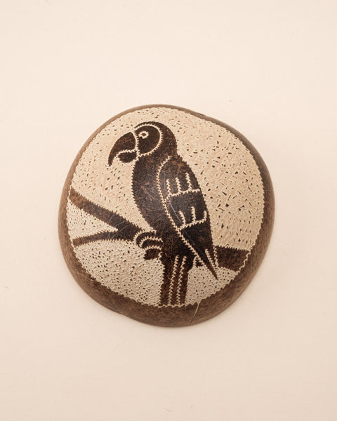 Conjunto de Cuias | Ticuna