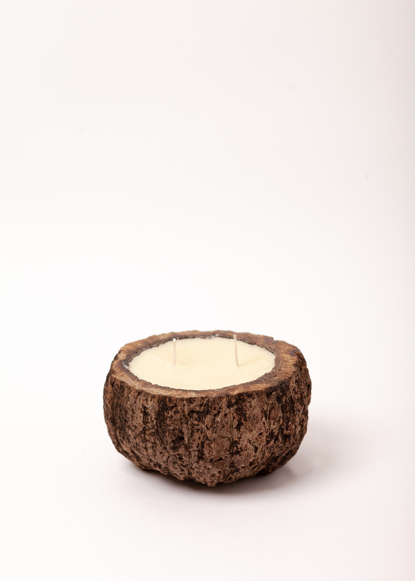 Vela aromática Proteção da Floresta no ouriço da castanha | Urucuna