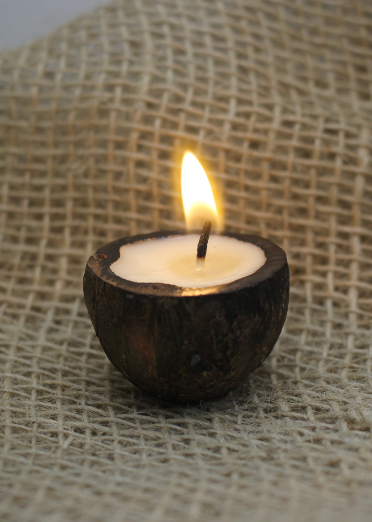 Vela aromática Proteção da Floresta no Tucumã | Urucuna