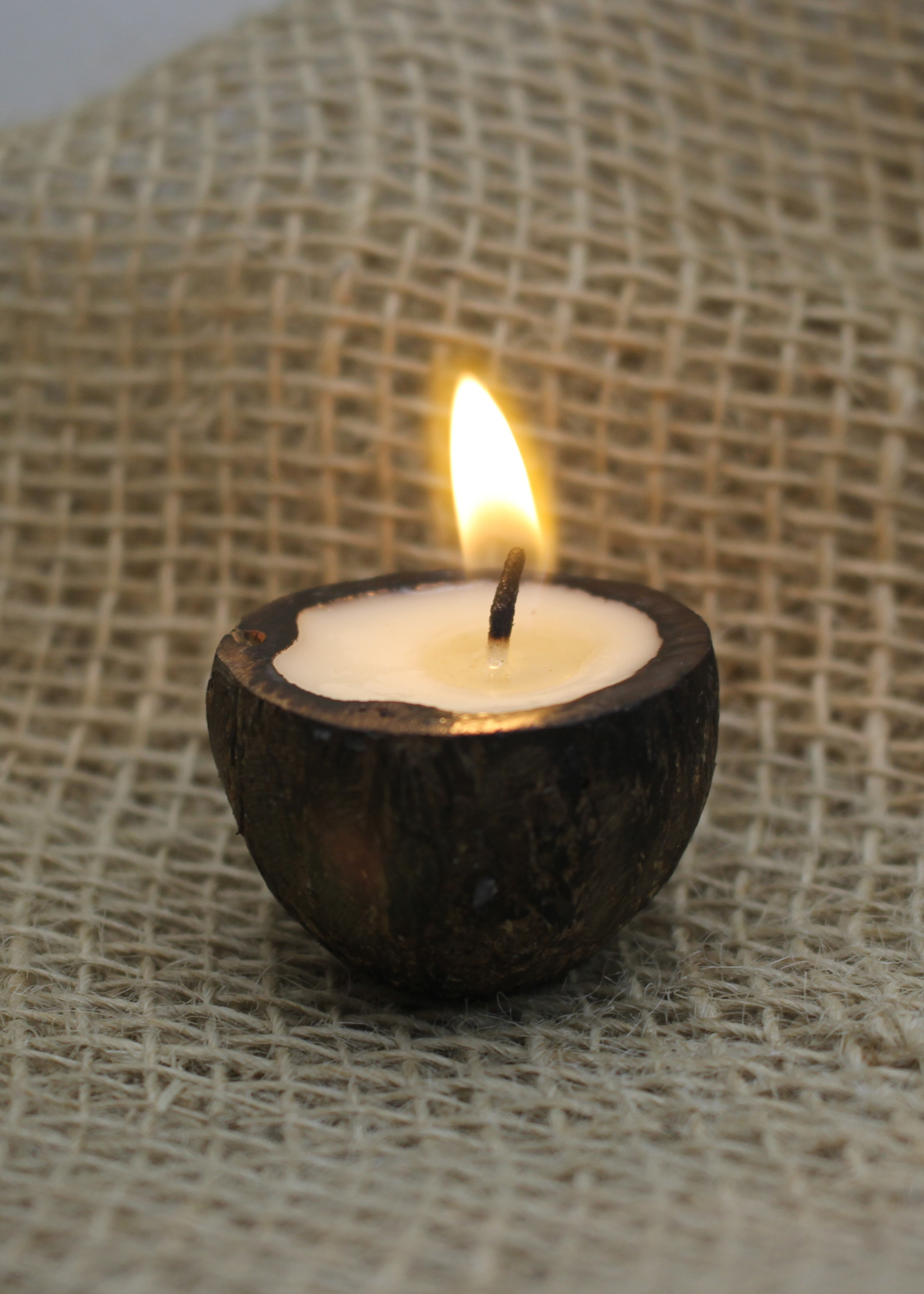 Vela aromática no coquinho de tucumã Imagem principal do produto