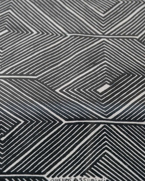 Quadro Grafismos | Asurini