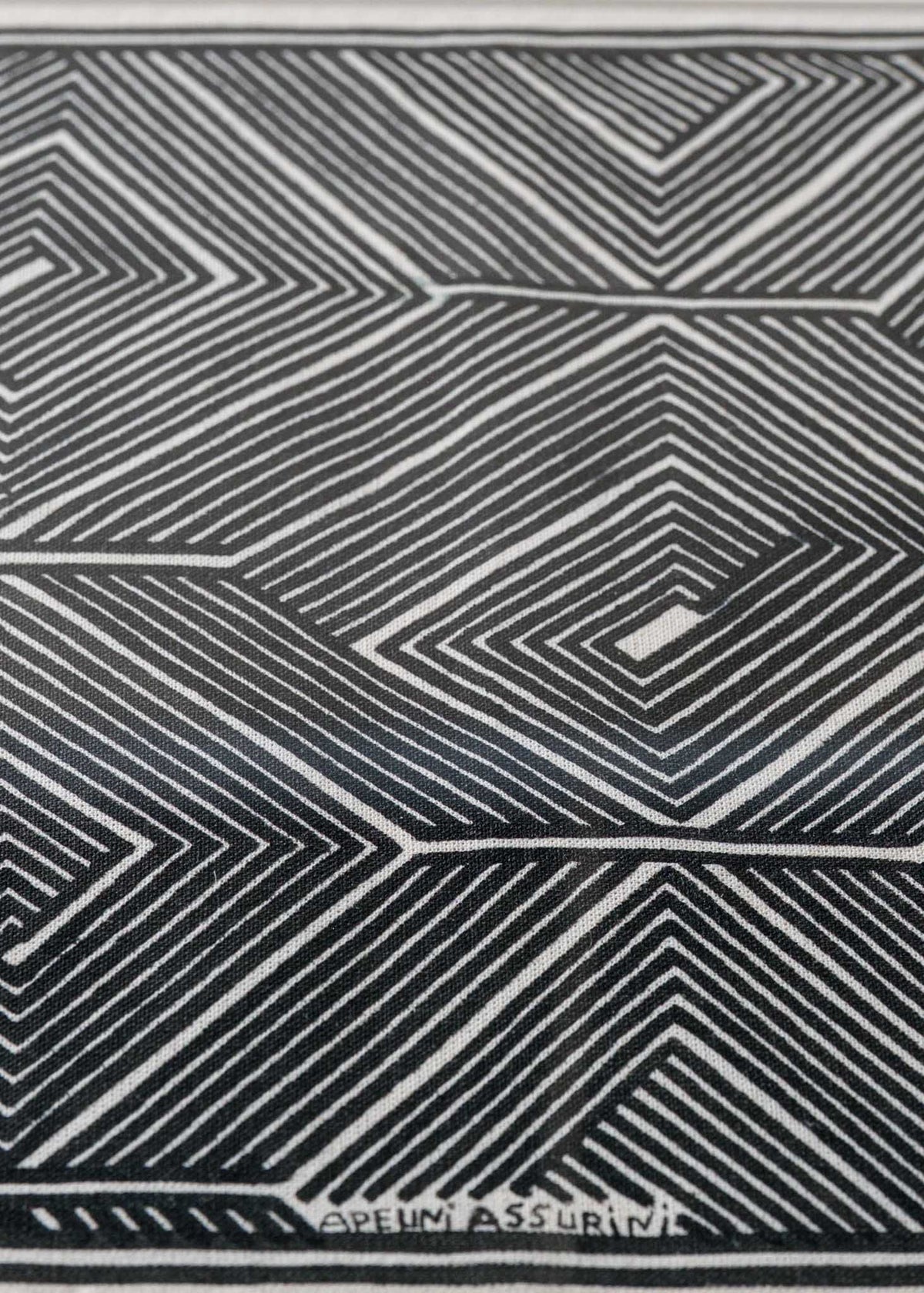 Quadro Grafismos | Asurini