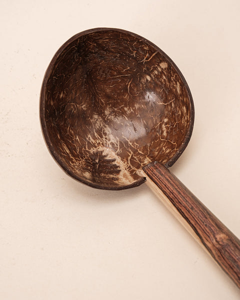 Concha de Madeira | Pataxó