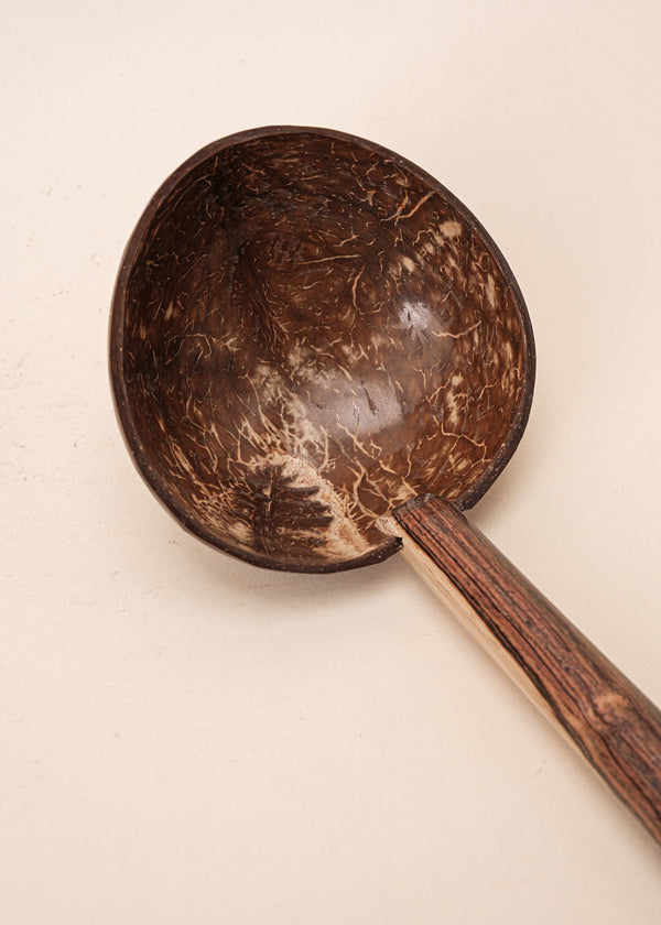 Concha de Madeira | Pataxó