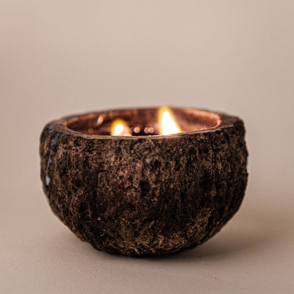 Vela aromática Proteção da Floresta no ouriço da castanha | Urucuna