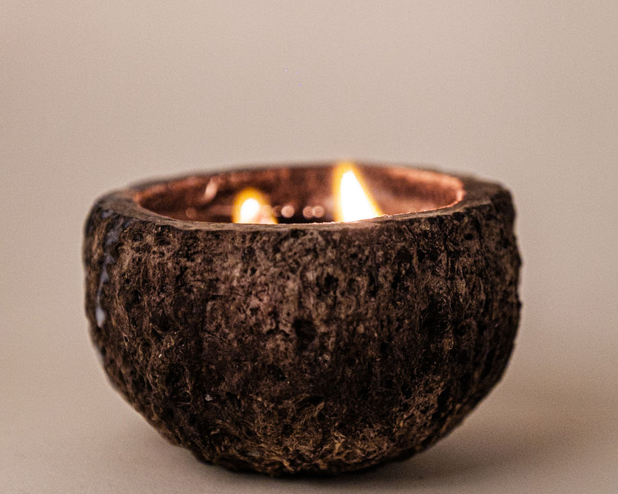 Vela aromática Proteção da Floresta no ouriço da castanha | Urucuna